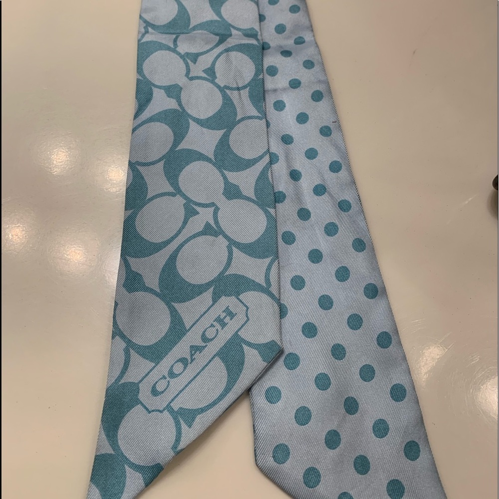 Coach ponytail scarf